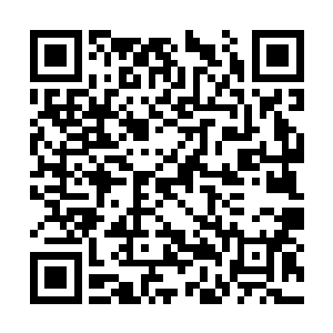 不过流墨墨和雪如楼只看了他们一眼就收回了目光二维码生成