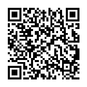 不过流幻星眸透出的炙热目光带着强大的星河涌出二维码生成