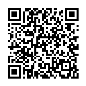 不过涂章秀胯下的独角妖犀看起来也是绝不好受二维码生成