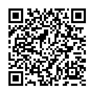 不过燕无双说这话的意思若是有人妨碍到了玉熙跟她子女的利益二维码生成