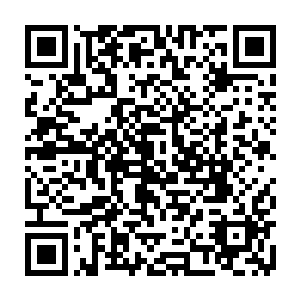 不过片刻功夫就把他们自己还有他们所知道的所有家族事情交代的一清二楚二维码生成