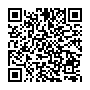 不过特蕾西接下来的话却让乔治重新点燃了希望二维码生成