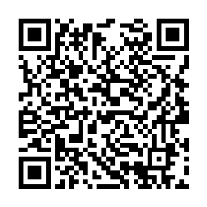 不过王老头的脸色好严肃……老阳酒馆到底怎么了二维码生成