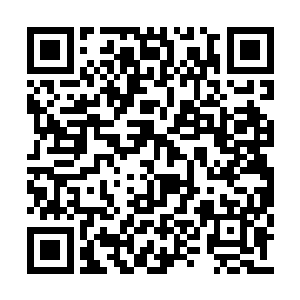 不过现在全修真界都对我们下了杀无赦的通缉令二维码生成