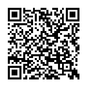 不过现在却也不是计较这些其实除了口感怪一点二维码生成