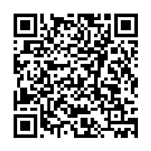 不过现在并不是试探王少志到底有多么怕他的时候二维码生成