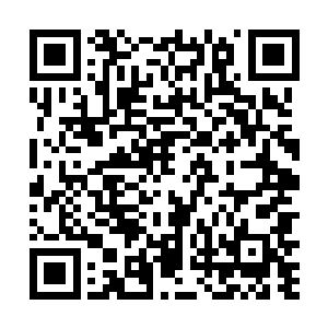 不过现在杨戬显然根本就没有必要猎杀生灵来获得生魂二维码生成