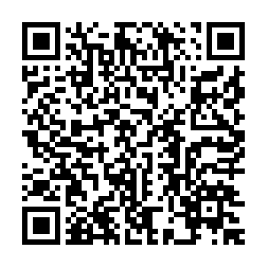 不过现在知道了原来契约了鱼蛋蛋这只帝王神兽还有这么大的好处二维码生成