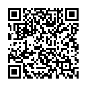 不过现在知道这个结果倒是感觉难受了这一天也值了二维码生成