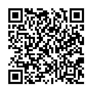 不过现在章轶仙人已经宣布了第一轮考验已经结束二维码生成