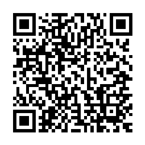 不过现在见到血僵魔胎将注意力落到了大道意志虚影上面之后二维码生成