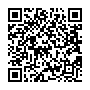 不过现在这个时候倒是轮不到那些普通的族人想入非非二维码生成