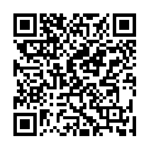 不过现在这种纯中式的小院儿一切都让夫妇二人感到好奇二维码生成