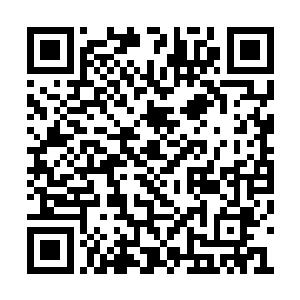 不过现在风翔宇的修为仅仅只有玄神顶峰的水平二维码生成