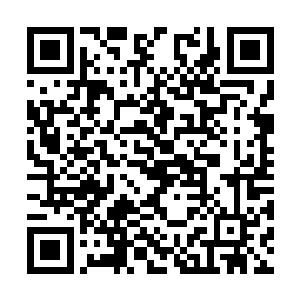 不过用天眼扫了她们的元灵之后得知她们也不容易二维码生成