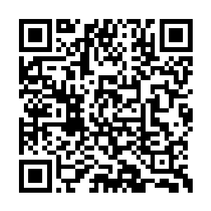 不过由龚刖出手弄出来的这个幻阵阵牌档次极高二维码生成