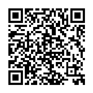 不过男人却对那些指着他的黑漆漆枪口仿若未见二维码生成