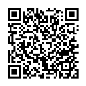 不过画师做的皎月不够苗条……骷髅的wei#xin#公共#号#二维码生成