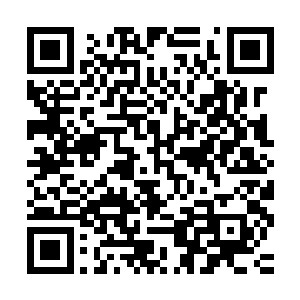不过白九的身旁多了一名怀里斜挎着一个黑球状包裹的黑衣少年二维码生成