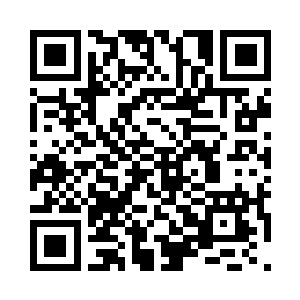 不过白凤似乎并没有注意到自己这边的举动二维码生成