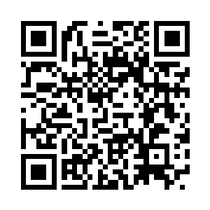 不过白小飞叔叔还不需要一只小狗帮忙二维码生成