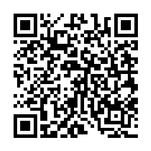 不过目前困住他的骨器应该是专门用来对付神血战士的吧二维码生成