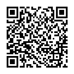 不过目前她是一名半职业的摄影师外加服装设计师二维码生成