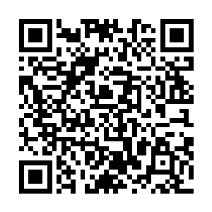 不过相比较那密密麻麻的如蝗虫过境一般的血狱怪物来说二维码生成