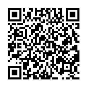 不过看他那巨大的变化和言语间泄露的什么最高机密二维码生成