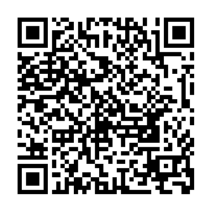 不过看到她脸色变化的傻缺龙女只以为她是因为卯荼不客气的话觉得尴尬才这般二维码生成