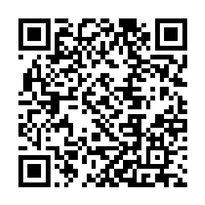 不过看到秦宇和坦克两人的衣服穿着后便没有兴趣了二维码生成