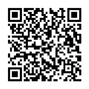 不过看到袁振华在测试时越来越严肃跟震惊的表情二维码生成