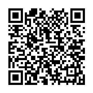 不过看到雅文之后白奇雪的身体却是忽然抖了一下二维码生成