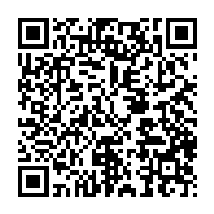 不过看着吴岩的目光却比先前的柔和信任中更多了一丝赞赏和歉意二维码生成