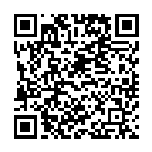 不过看着张铁把自我感觉高高在上的布尔维克踩成这幅模样二维码生成