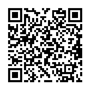 不过看着此刻萧言义无反顾的要朝这个火坑里面跳二维码生成