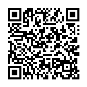 不过看着这样的凌菲花蕊总觉得心里有点不踏实二维码生成