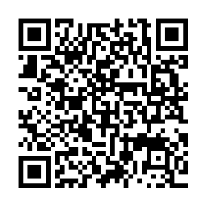 不过看着陌星子盯着自己伸过去还没摸到他的手的那冰冷的眼神二维码生成