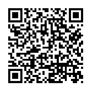 不过看米璐安的瞳孔又好像没有失焦涣散的迹象二维码生成