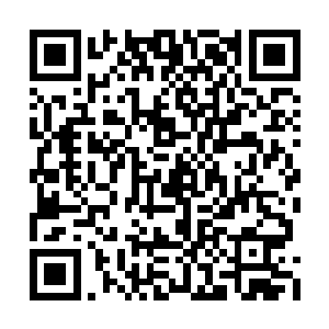 不过眼前的五行厄灵阵已经存在不知道几万年了二维码生成