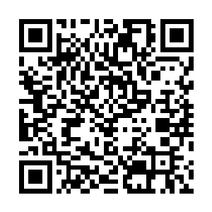 不过眼睛却时不时地悄悄地看一下前面的那对还在忘我亲二维码生成
