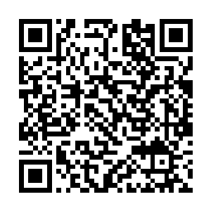 不过私底下奥利维亚却对自己丰沛的毛茸茸非常满意二维码生成