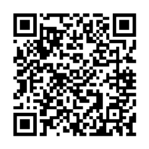 不过秦方琢磨着这里面是有着他并不知道的猫腻二维码生成