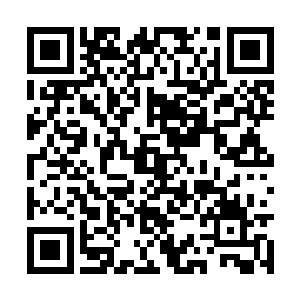 不过稀奇的是革命军似乎没有打算决一死战的决心二维码生成