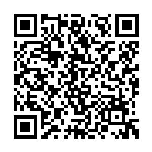 不过立即就被琴瑟色握着一根玉萧的手给挡住了二维码生成