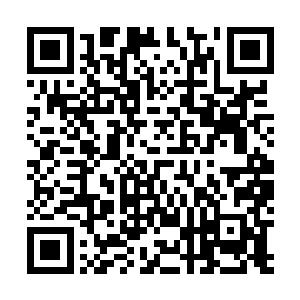 不过立马得到的是贺紫玲一巴掌毫不留情拍在他的后脑勺二维码生成