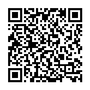 不过第一批驾驶机甲的驾驶员训练强度也必须加上去二维码生成