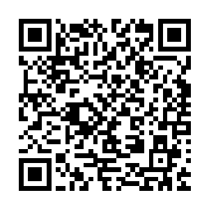 不过第一时间琴瑟色就紧盯着距离她很远的那两个重叠在一起二维码生成