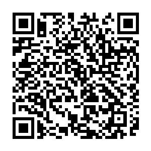 不过箱子的空间毕竟有限小鱼儿虽说形体不灵活不过还是咬到了大鱼几口二维码生成