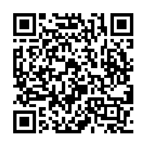 不过紧接着脸上也露出了一抹无比惊恐和震惊的神情二维码生成